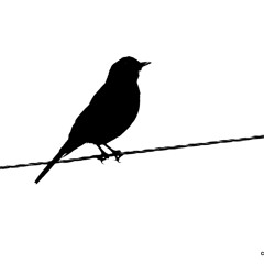 Memento Mori - Buckler