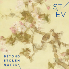 Beyond Stolen Notes [Loci Records / Megaphone Records]