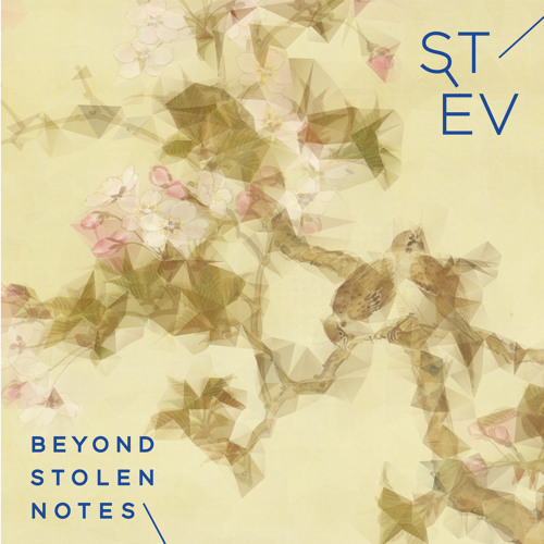 Beyond Stolen Notes [Loci Records / Megaphone Records]