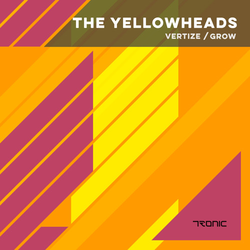 The YellowHeads - Vertize (Original Mix)