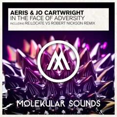 Aeris & Jo Cartwright - In The Face of Adversity (Re:Locate Vs. Robert Nickson Remix)