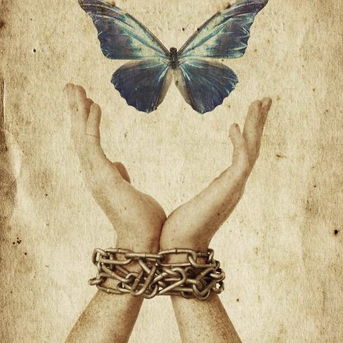 Die fabelhafte Welt der Koksberge