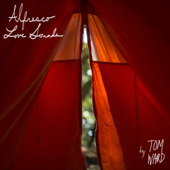 Tom Ward AKA Alfresco Love Sounds -  Mirror Skies