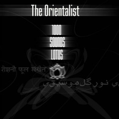 09 - The Orientalist - Arabic Ensemble Trapped In A Desertronic Sand Storm
