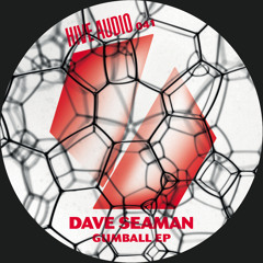 Hive Audio 041 - Dave Seaman - Gumball (Dario D'attis remix)