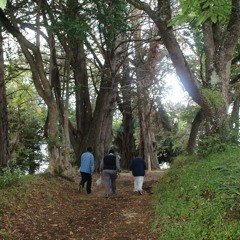 OctayFamilyH2- Pachamama