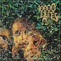 10000 lépés