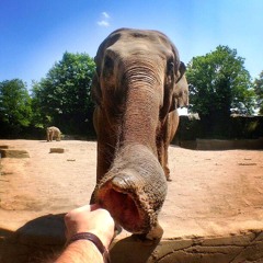 The First Work with Beat Park