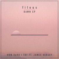 Filous - How Hard I Try (Ft. James Hersey)