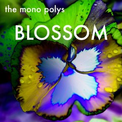 INSOMNIA - The Mono Polys