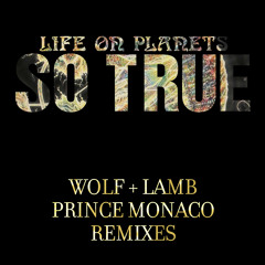 Life on Planets - So True (Prince Monaco Remix) [Preview]