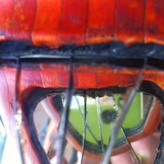 Balkan Kurdistan Türkiye Persia Teng