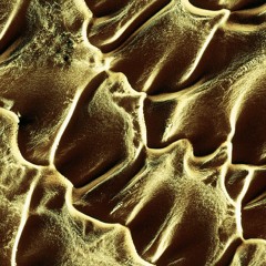 Leave Things - Sedimentation