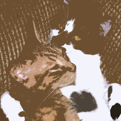 Leo Cloud and Hedgehog Human perform Random(er) Notes