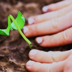 Culture and Palliative Care #12