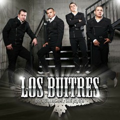 Los Buitres De Culiacan - Me Gustas