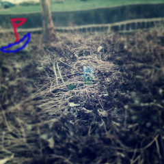 Small Sails In A Big World