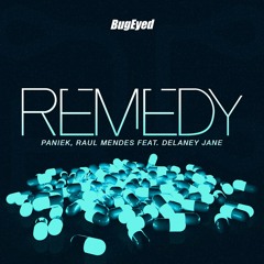 Paniek, Raul Mendes Feat. Delaney Jane - Remedy