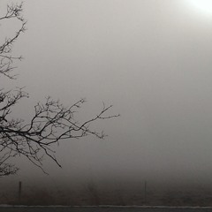 The Cleaner Ft. Bonnie Legion