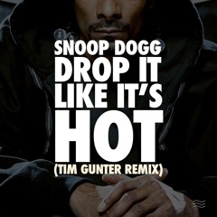 Snoop Dogg - Drop It Like It's Hot (Tim Gunter Remix)