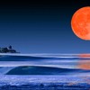 Blood Moon Blood Moon