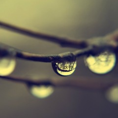 Fuzzy Memories Demo ^o^