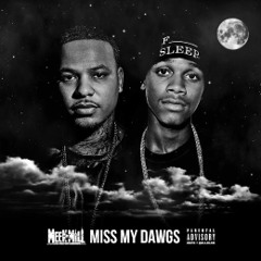 Meek Mill - Miss My Dawgs