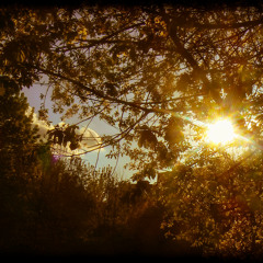 DALKY (INSTRUMENTAL) unmastered