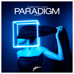 CamelPhat feat. A*M*E - Paradigm (Kloks Remix)