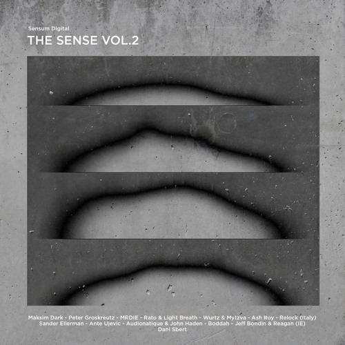 [SNIPPET]_Ash_Roy_-_Long_Ride_(_Original_Mix_)_[Sensum_Digital]