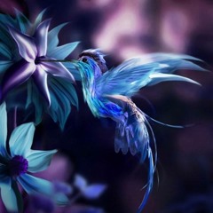 جنات ...تتر مسلسل حكايات وبنعيشها