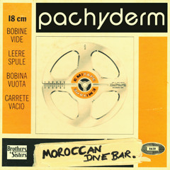Moroccan Dive Bar - pachyderm