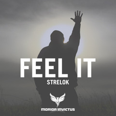 Strelok - Feel It (Original Mix)