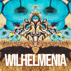 Wilhelmenia (original mix)