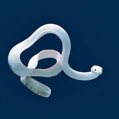 ~~~ snakes in the grass ~~~
