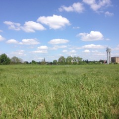 Templehof Fields - Binaural Recording #1