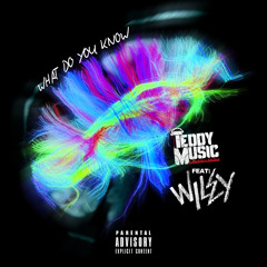 Teddy Music ft. Wiley - "What Do You Know'