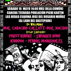 PERROS MARGINALES - MAYOPUNK TEMUKO 2015