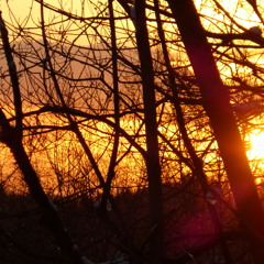 Polln - You and Only