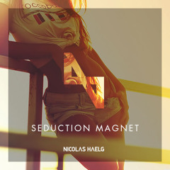 Nicolas Haelg - Seduction Magnet (Original Mix)