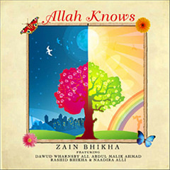 Can't You See (feat. Rashid Bhikha & Abdul Malik Ahmad)