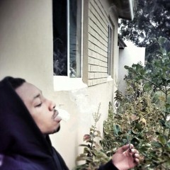 Soulja raybo -No Role Models (remix)