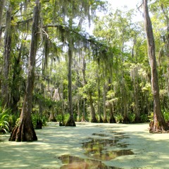 The Swampstess Dance