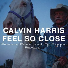 Calvin Harris - Feel So Close (Female Boss + DJ Rippa remix) FREE-DOWNLOAD @2K FOLLWERS