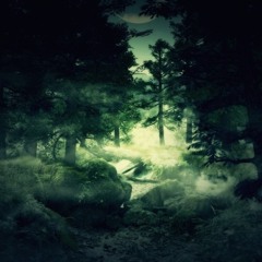 Mystical Forest