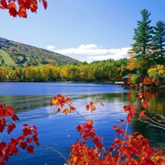 Te Bendecire (I Will Bless the Lord) Ingrid Rosario Mary Allesi (Cover)