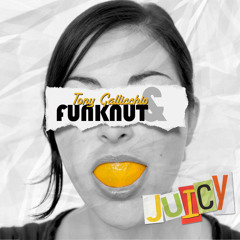 Honey - Tony Gallicchio & Funknut
