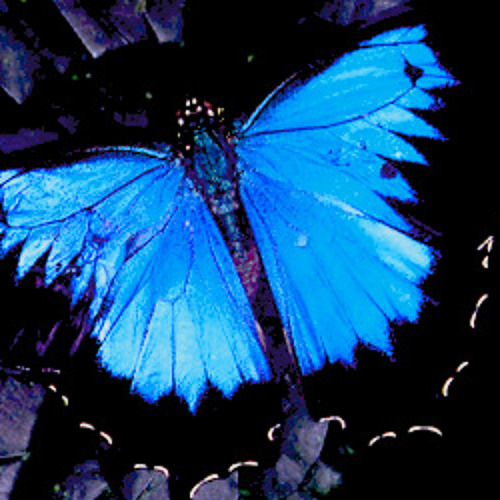 Stream Butterfly (Die Antwoord Enter The Ninja remix) by Charles N