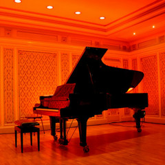 The Piano Fell In Love