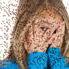 The Girl With Ants in Her Pants